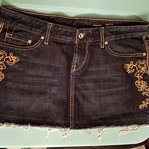 Express X2 Dark Jean Skirt